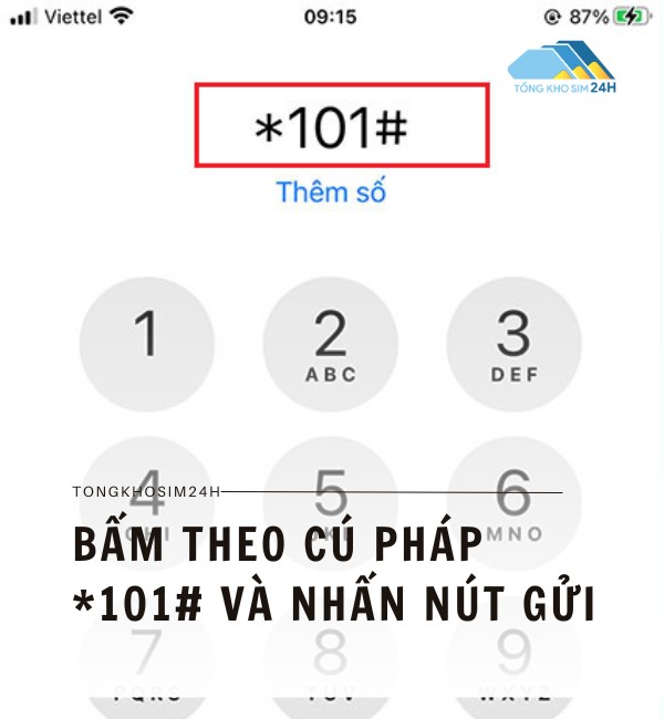 Bấm theo cú pháp *101# và nhấn nút gửi