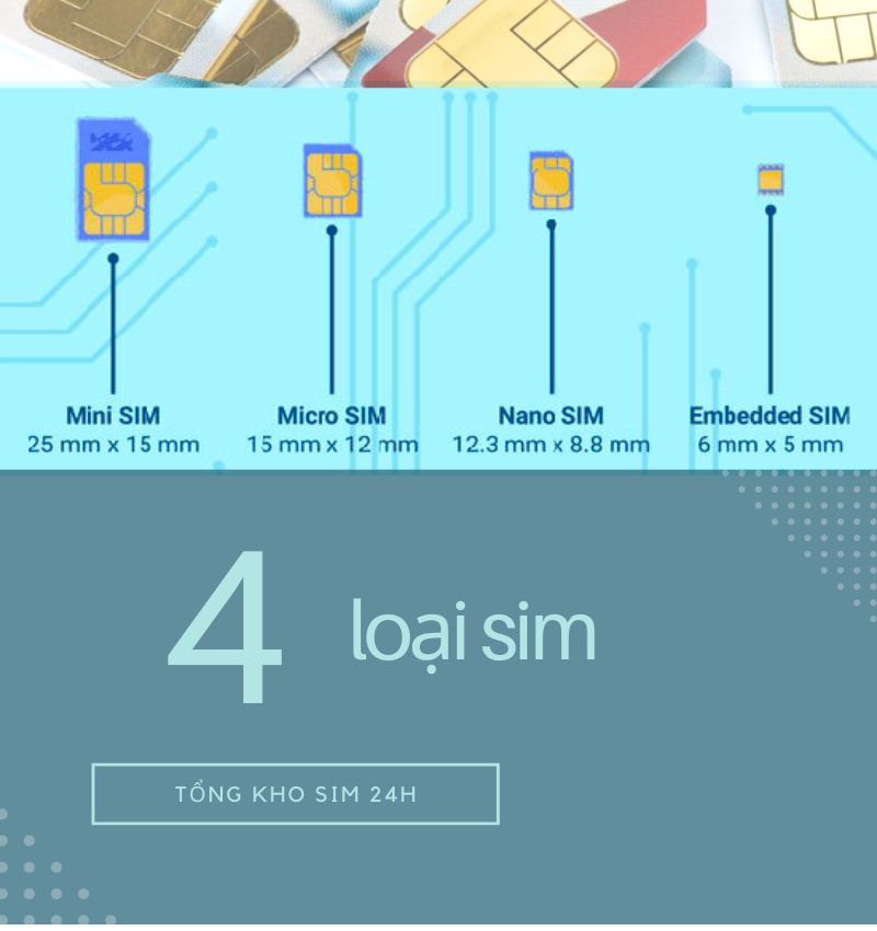 Có 4 loại sim khác nhau