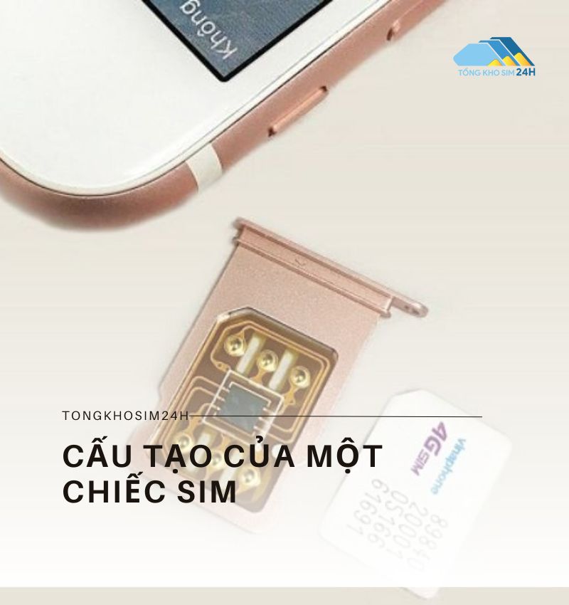 Cấu tạo của một chiếc sim