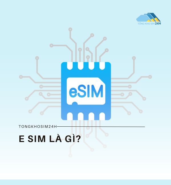 e SIM là gì?