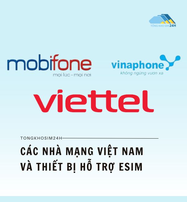 Các nhà mạng Việt Nam và thiết bị hỗ trợ 