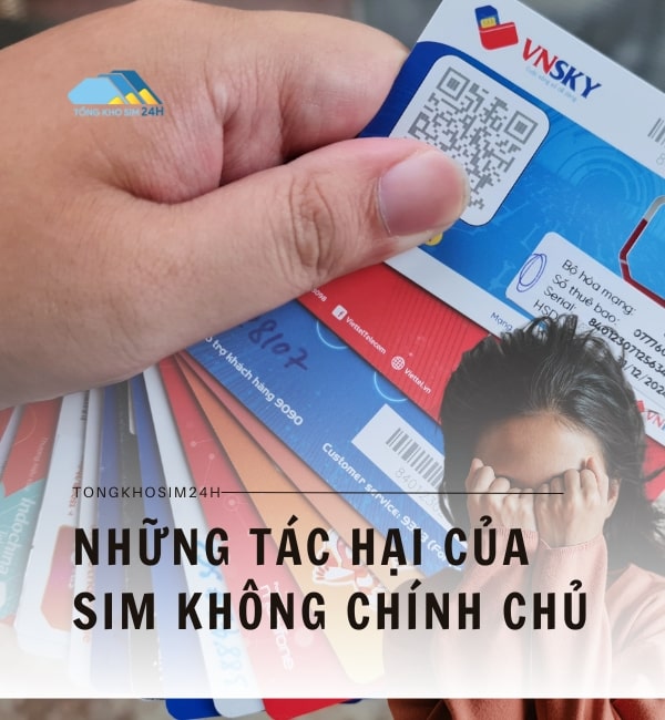 Những tác hại của dòng sim này