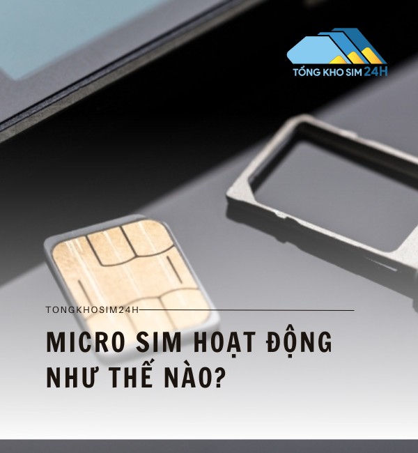 Cách hoạt động của sim